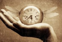 Phương pháp luận nghiên cứu văn học: Phương pháp tiểu sử