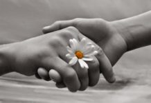 Bài thơ: Bàn tay em – Xuân Quỳnh