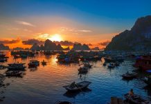 Tìm hiểu văn bản: Cô Tô – Nguyễn Tuân