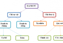 Danh từ là gì? Danh từ và cụm danh từ