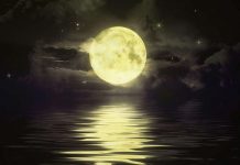 Tìm hiểu văn bản: Đây thôn Vĩ Dạ – Hàn Mặc Tử