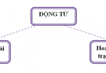 Động từ là gì? Động từ và cụm động từ