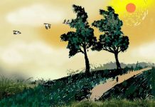 Tìm hiểu văn bản: Hai cây phong – Ai-ma-tốp