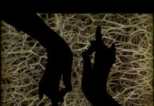 Người dệt tầm gai – Vi Thuỳ Linh