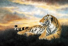 Tìm hiểu chi tiết văn bản: Nhớ rừng – Thế Lữ