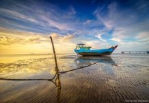 Tìm hiểu chi tiết văn bản: Quê hương – Tế Hanh