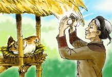 Tìm hiểu văn bản: Tiếng gà trưa – Xuân Quỳnh