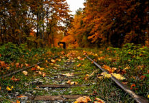 Bài thơ: Cô liêu – Hàn Mặc Tử