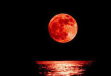 Bài thơ: Trăng tự tử – Hàn Mặc Tử