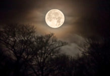 Mẹ ơi, trăng rất hiền