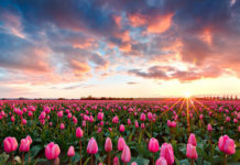 Chính phủ ban hành quy định mới về viết hoa