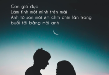 Bản đồ tình yêu – Vi Thùy Linh