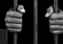 Tìm hiểu chi tiết văn bản: Khi con tu hú – Tố Hữu