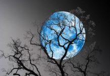 Truyện ngắn: Trăng xanh huyền hoặc – Trọng Miên