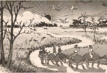 Tìm hiểu văn bản: Buổi chiều đứng từ phủ Thiên Trường trông ra