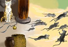 Tìm hiểu văn bản: Đeo nhạc cho mèo