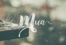 Tìm hiểu văn bản: Mưa – Trần Đăng Khoa