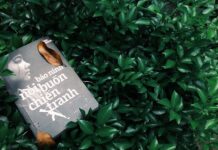 Thủ pháp “dòng ý thức” với ám ảnh về sự thật trong “Nỗi buồn chiến tranh”