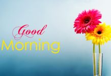 Tả quang cảnh quê hương em khi một ngày mới bắt đầu