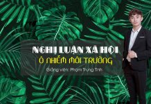 Dàn ý chi tiết: Nghị luận xã hội về hiện tượng ô nhiễm môi trường