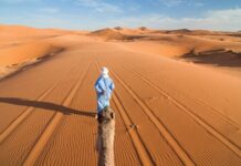 “Sa hành đoản ca” – bi kịch của người trí thức trên con đường cùng thời đại