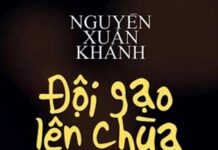Tinh thần dân chủ của Phật giáo Việt qua tiểu thuyết Đội gạo lên chùa