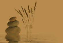 Những ẩn số trên hành trình nghiên cứu của Trần Đình Sử