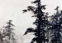 “Đây thôn Vĩ Dạ” – Thực hay là ảo, đời hay là mộng?