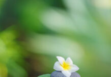 Nhận diện và điều chỉnh những hành vi “lệch chuẩn”