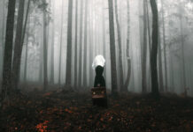 Khoảng trống ai lấp được trong tư tưởng nhà văn