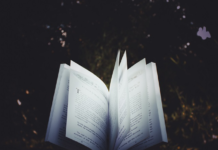 Làm thế nào để viết tốt nghị luận xã hội?