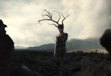 Những giới hạn của lí thuyết văn học nước ngoài ở Việt Nam