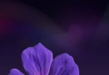 Tiểu thuyết Việt Nam từ hiện đại đến hậu hiện đại – sự chuyển đổi quan niệm nghệ thuật về thực tại (Phần 2)