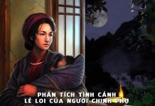 Tìm hiểu văn bản: Tình cảnh lẻ loi người chinh phụ