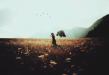 Để nghề viết văn trở thành một nghề cao quý