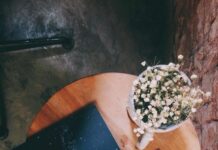 Matasaburo – từ phương của gió (Kenji Miyazawa) – Ngọn gió trong trẻo của tuổi thơ