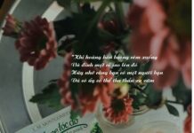 Anne Tóc Đỏ Dưới Chái Nhà Xanh – Trải Nghiệm Ngọt Ngào Cùng Cô Bé Anne