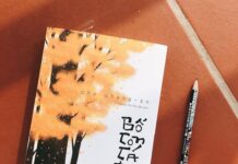 Bố con cá gai – Bản giao hưởng bất tử của tình cha con