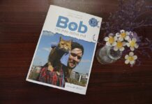 Bob – Chú mèo đường phố: Cuốn tự truyện đậm tính nhân văn và chân thật