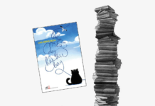 Chuyện Con Mèo Dạy Hải Âu Bay – Lời nhắc nhở về sự tôn trọng lời hứa