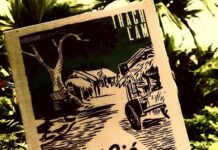 Gió đầu mùa – Hương hoàng lan giữa trưa hè