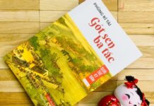 Gót Sen Ba Tấc – Nỗi đau của người phụ nữ Trung Hoa