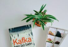 Kafka bên bờ biển: Bản nhạc buồn quy tụ những bản ngã cuộc đời