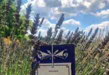 Lão hà tiện – Vừa hài kịch vừa bi kịch trong những ngày đầu của chủ nghĩa tư bản