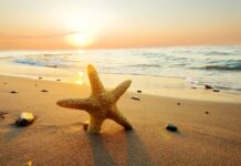 Bài thơ: Biển – Xuân Diệu