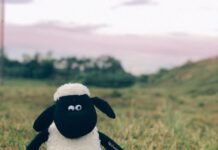 Murakami Haruki và “cuộc săn cừu hoang”(1) chưa kết thúc