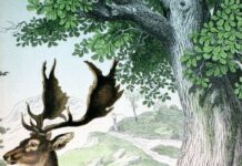 Lý thuyết queer cho mọi người