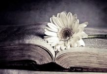 Sự Biến mất của Văn chương