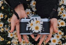 Sự hình thành và phát triển của thể thơ lục bát trữ tình trong văn học Việt Nam