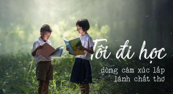 Phản biện tác giả Nguyễn Trọng Bình về văn bản Tôi đi học trong sách giáo khoa